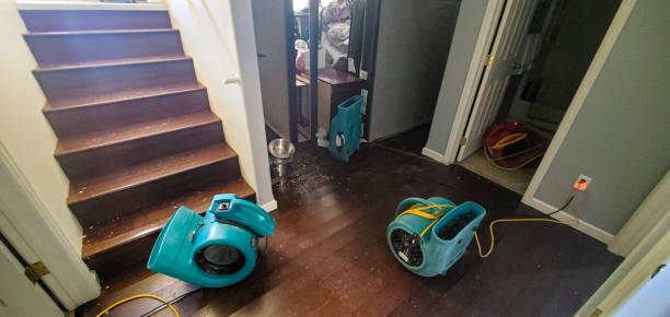 Tuckahoe, NY Water damage restoration Pros