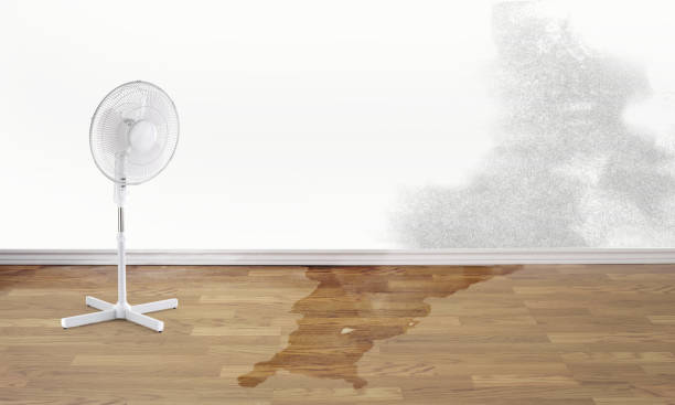 Best Flood restoration services  in Tuckahoe, NY