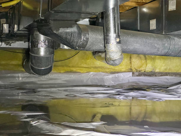 Best Professional water damage repair  in Tuckahoe, NY