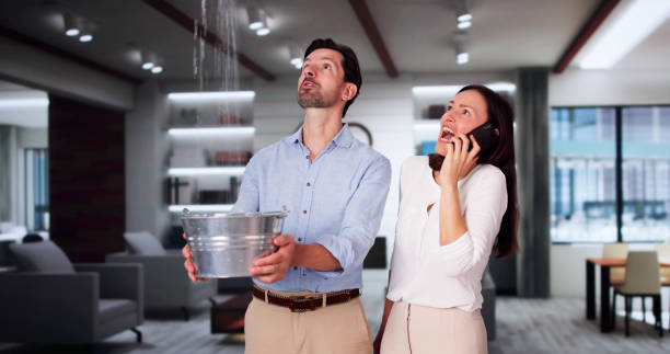 Best Mold removal after water damage  in Tuckahoe, NY