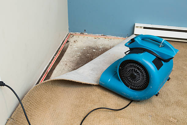 Best Basement water damage restoration  in Tuckahoe, NY
